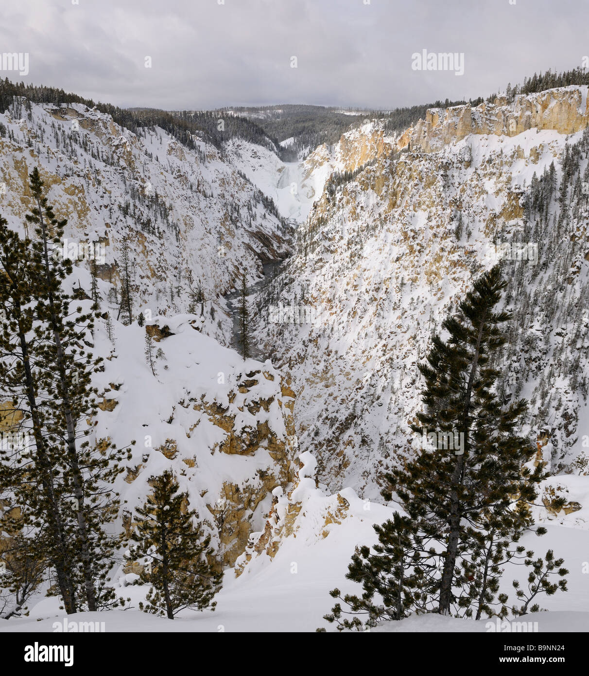 Schneebedeckten Grand Canyon des Yellowstone National Park im Winter mit dem Gefrorenen unteren fällt, Wyoming Stockfoto