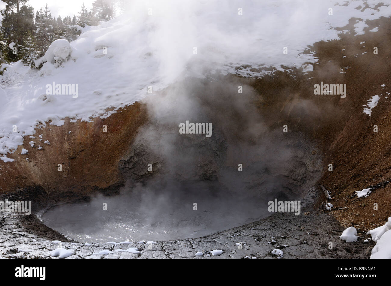 Dampfende Schlammvulkan im Yellowstone National Park in Wyoming im Winter Stockfoto