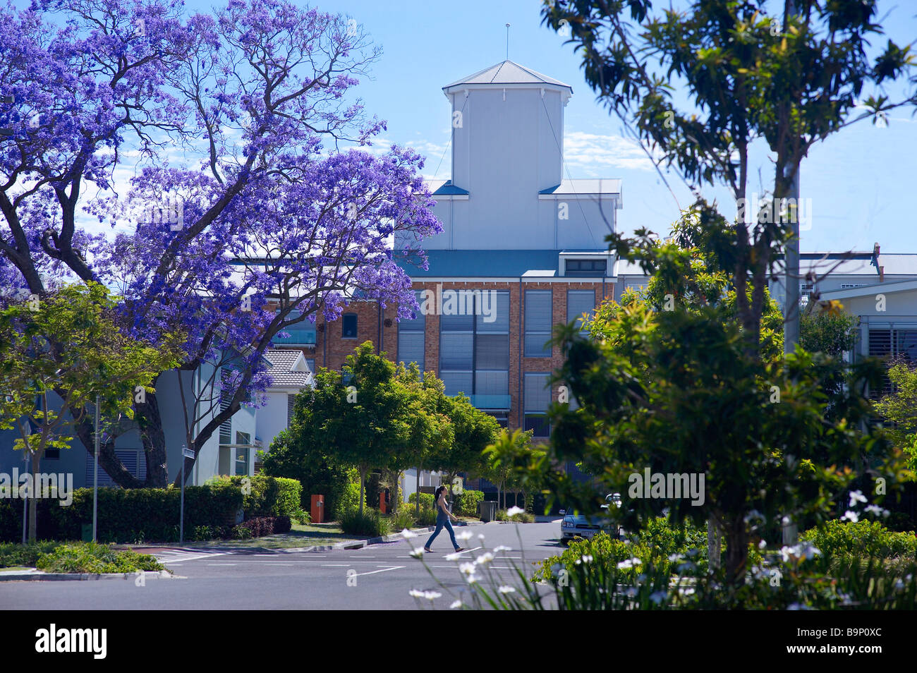 Zucker-Raffinerie-Apartments-Brisbane-Australien Stockfoto