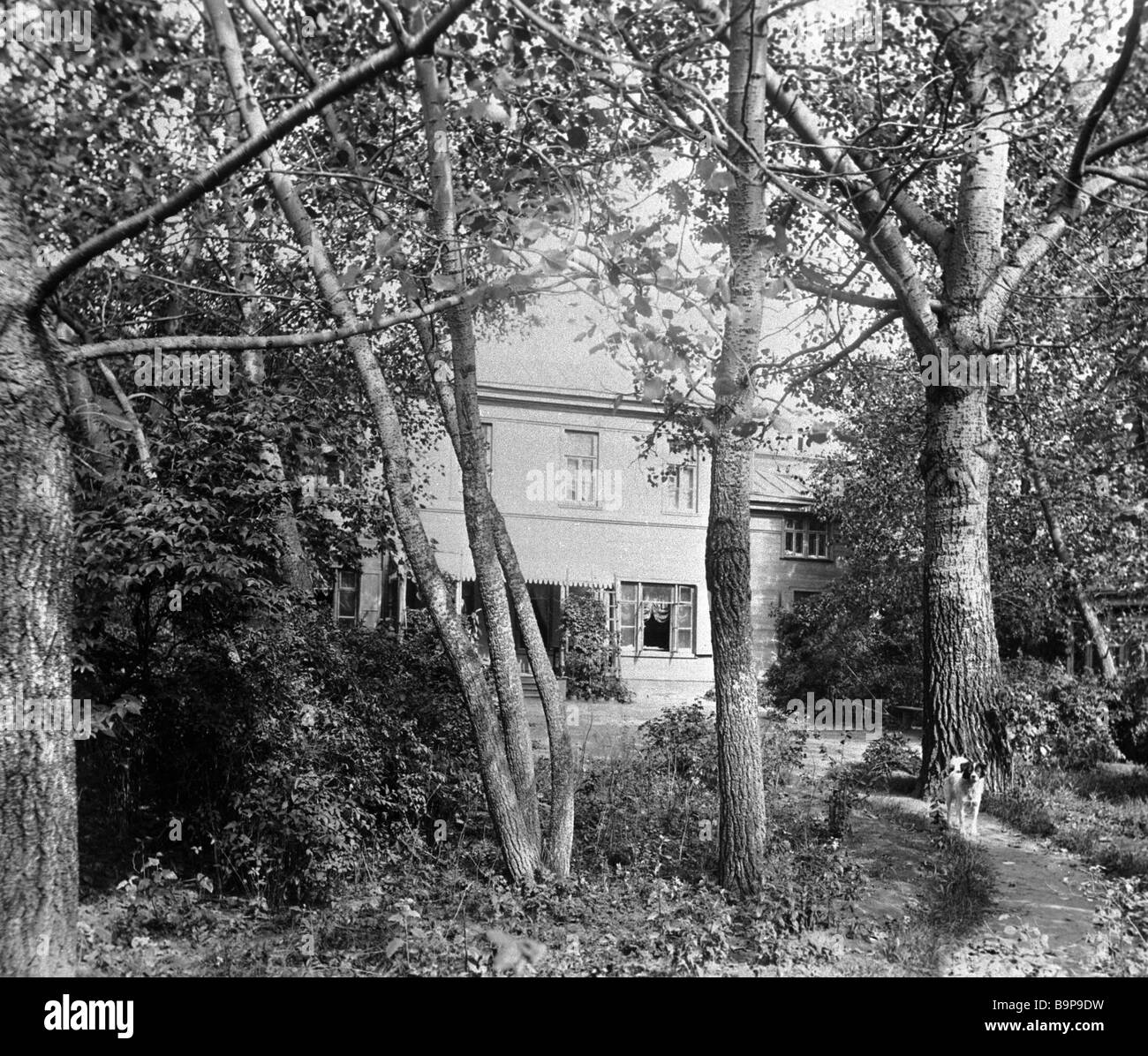 Leo Tolstoi Strasse