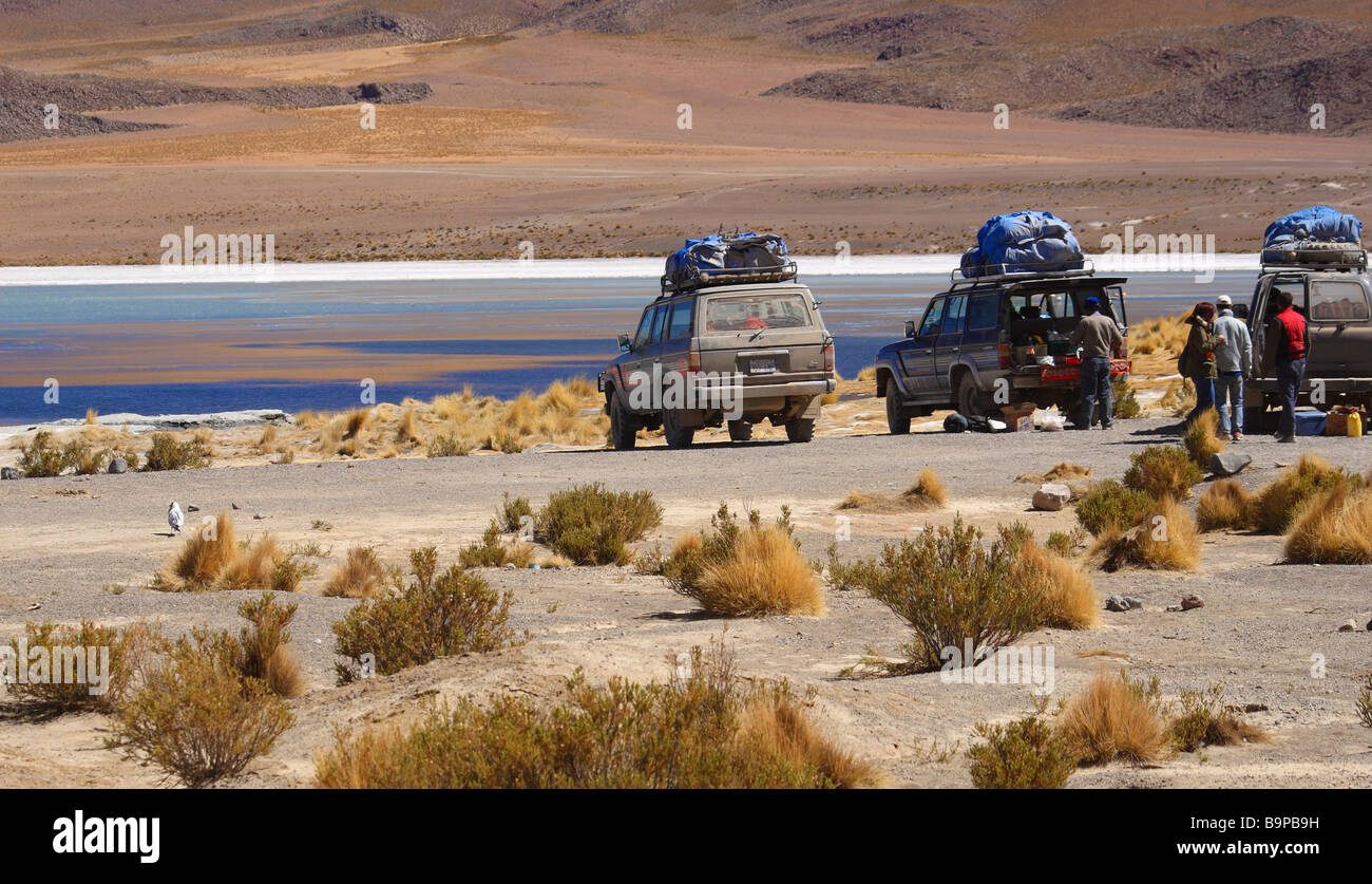 Natur-Szene im Altiplano Boliviens Stockfoto