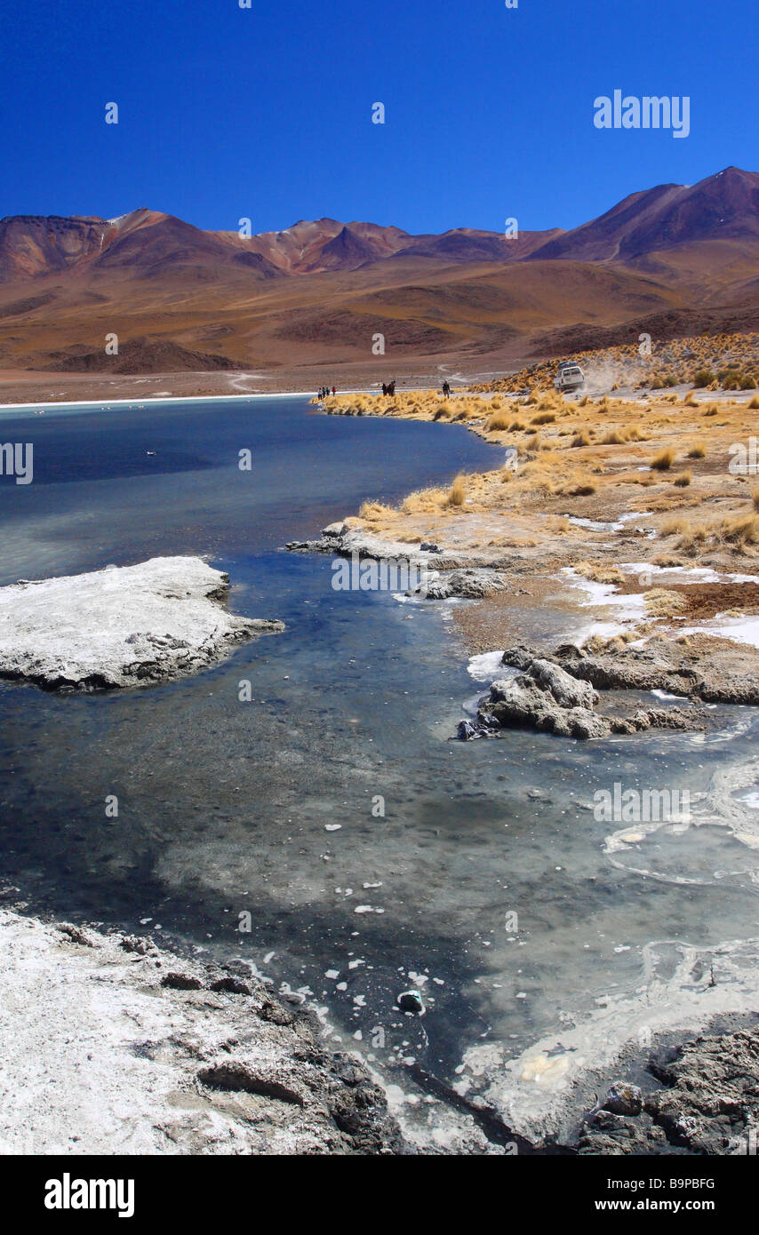 Natur-Szene im Altiplano Boliviens Stockfoto