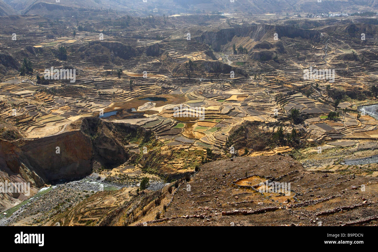 Panoramablick über den Colca Canyon Peru Stockfoto