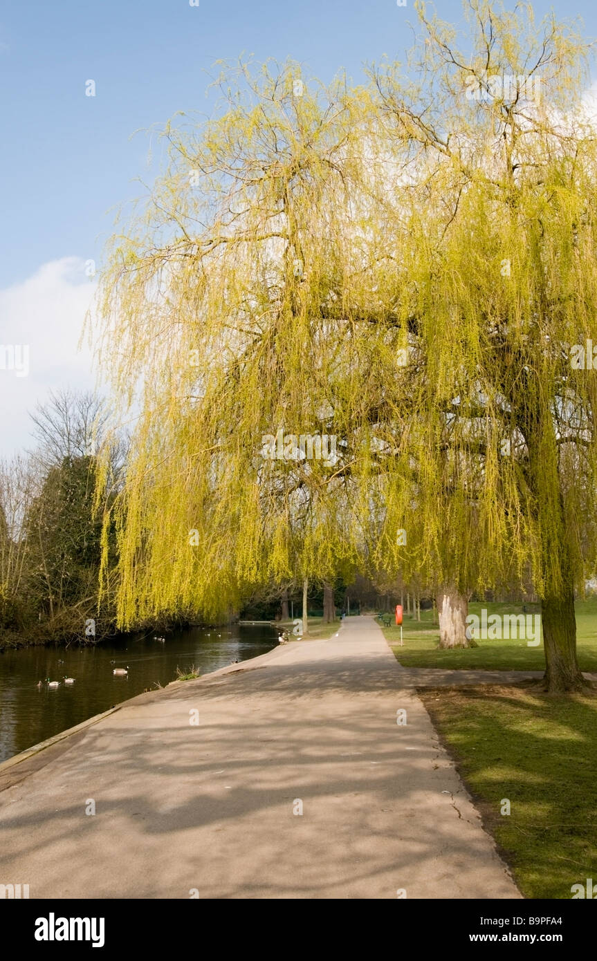 Landschaft raphael gidea park Fotos und Bildmaterial in hoher