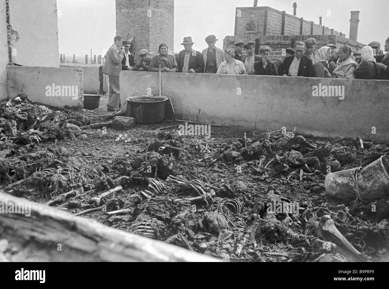 Menschliche Knochen inmitten der Ruinen des KZ Majdanek in Polen Stockfoto