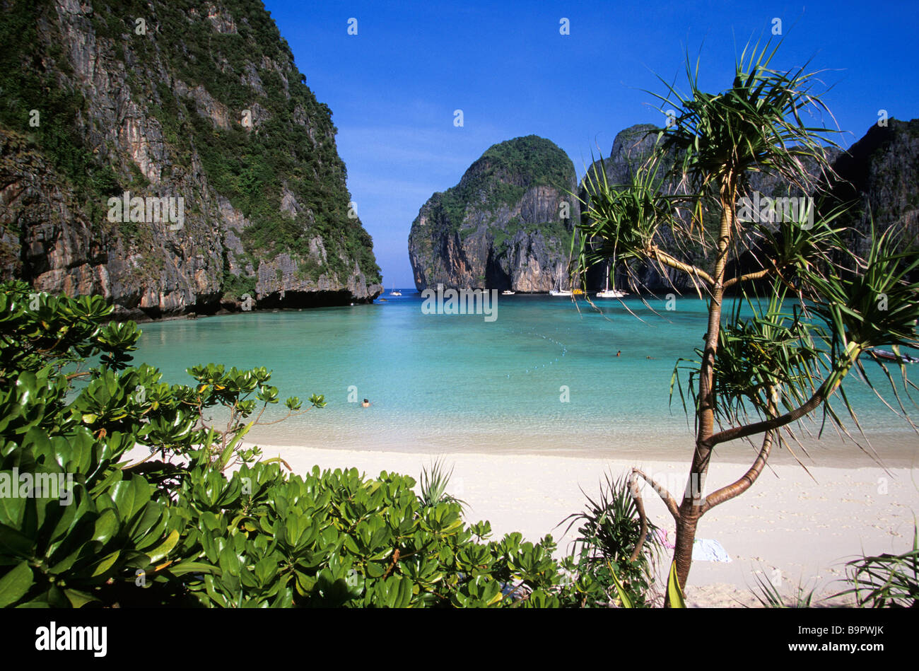 Thailand, Provinz Krabi, Koh Phi Phi Lee Island, Maya Bay Stockfoto