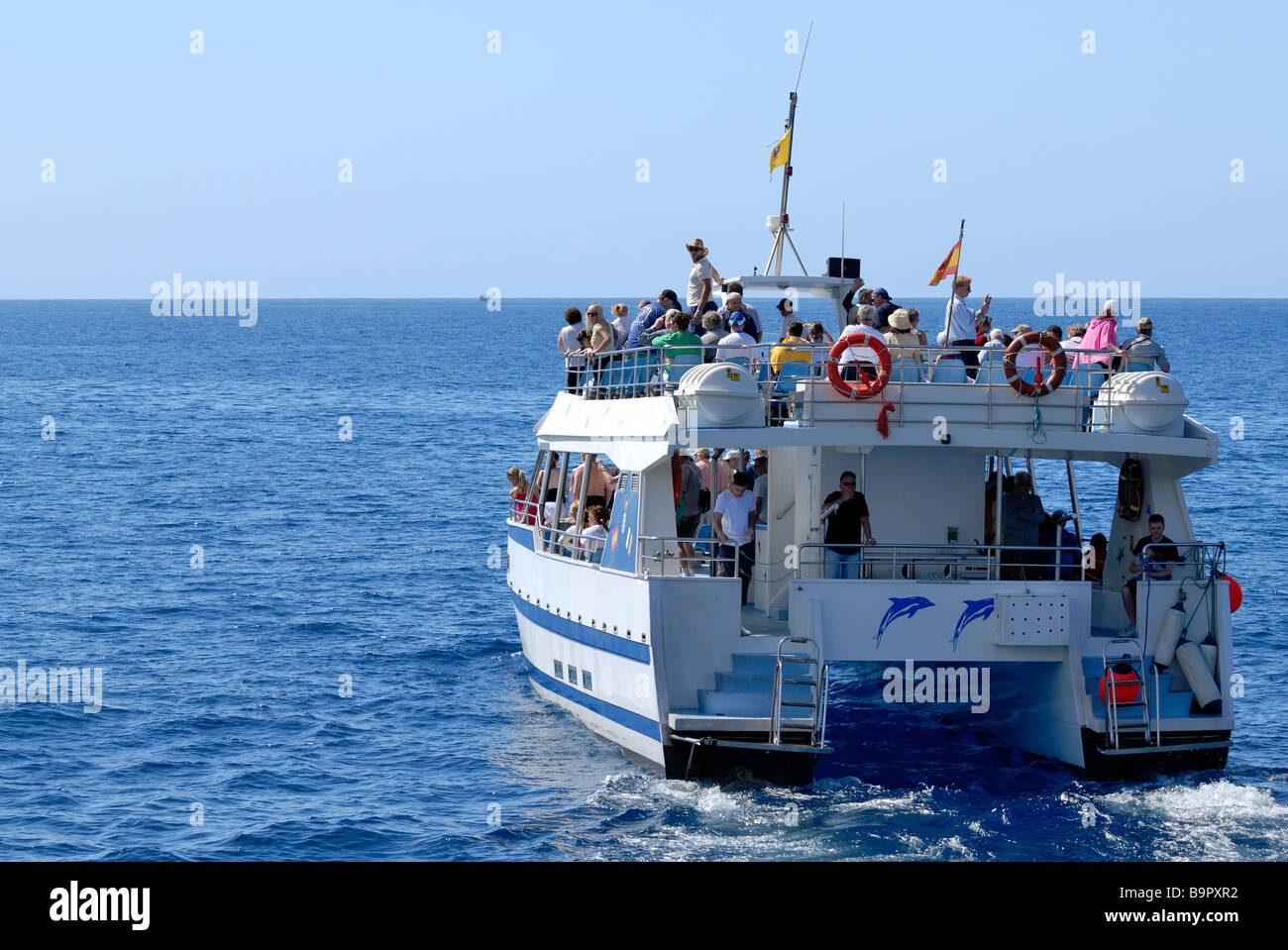 Die Exciment unter den Touristen auf dem Delphin Suche Boot. Puerto Rico, Gran Canaria, Kanarische Inseln, Spanien, Europa. Stockfoto