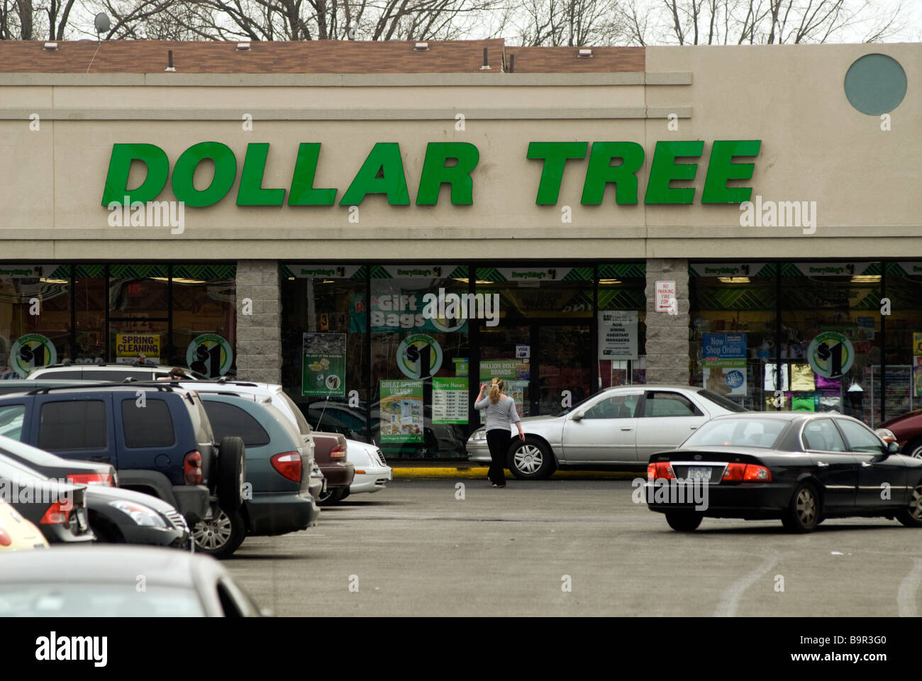 Ein Dollar Tree speichern im Stadtteil Staten Island New York Stockfoto