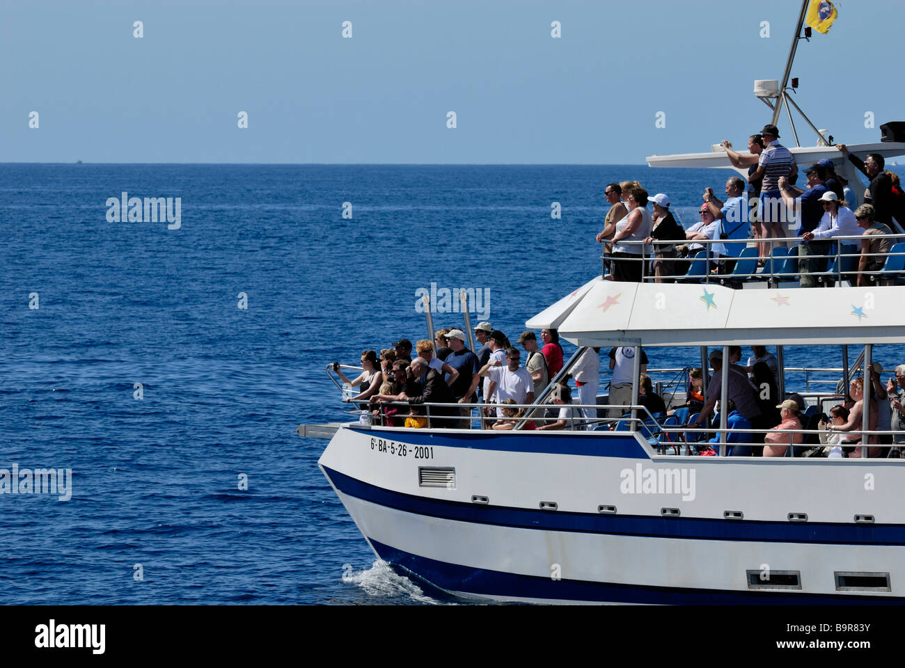 Die Exciment unter den Touristen auf dem Delphin Suche Boot. Puerto Rico, Gran Canaria, Kanarische Inseln, Spanien, Europa. Stockfoto
