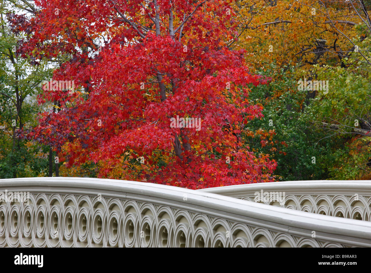 Bogenbrücke im Central Park New York an einem Herbsttag Stockfoto