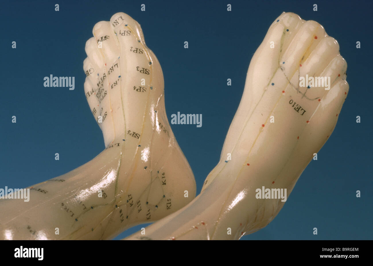 Akupunkturpunkte des menschlichen Körpers abgebildet auf einem Trainings-Modell Stockfoto