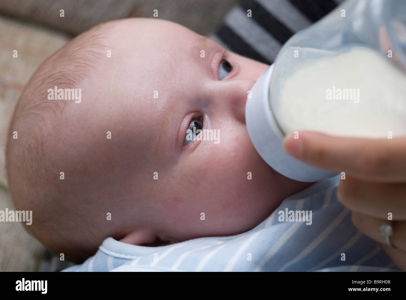 Sechs Wochen alten Jungen mit einer Flasche gefüttert Stockfoto