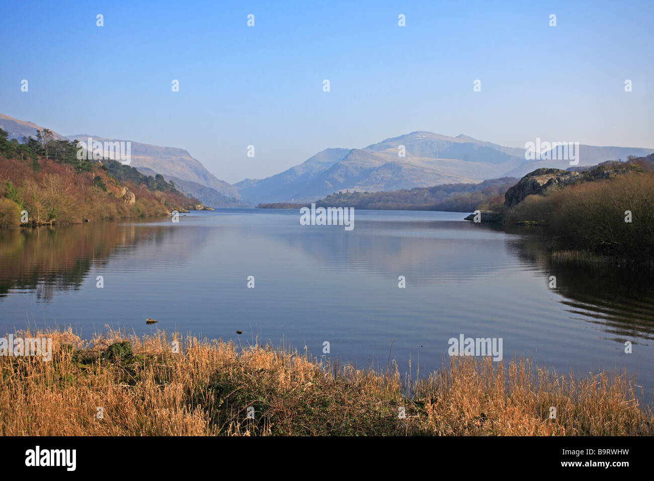 Llyn Padarn Llanberis Snowdonia North Wales UK Großbritannien EU Europäische Union Stockfoto