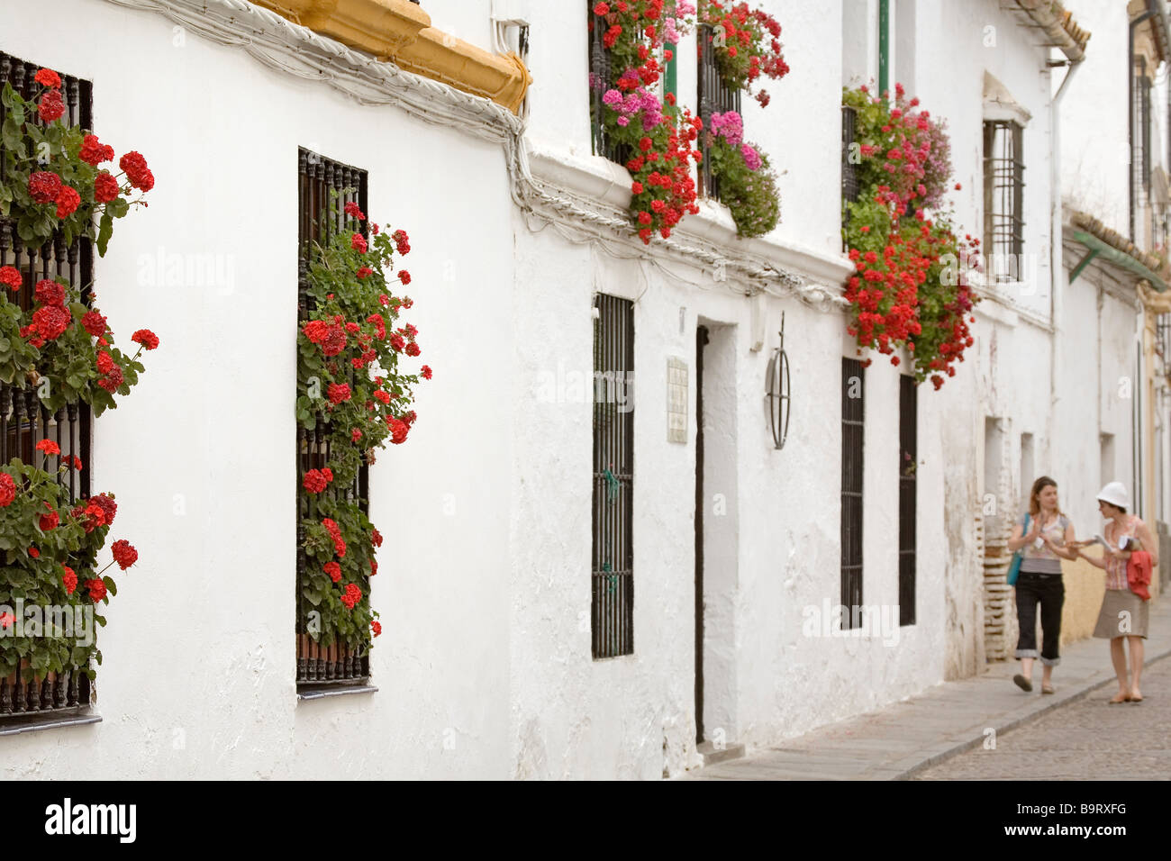 Balcones y Rejas con Flores Córdoba Andalusien España typischen Balkonen und Gitter mit Blumen Cordova Andalusien Spanien Stockfoto