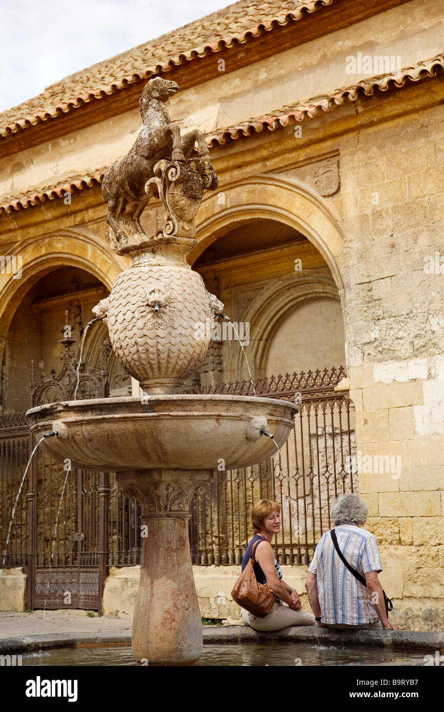 Plaza del Potro und Provincial Museum of Fine Arts Cordova Andalusien Spanien Stockfoto