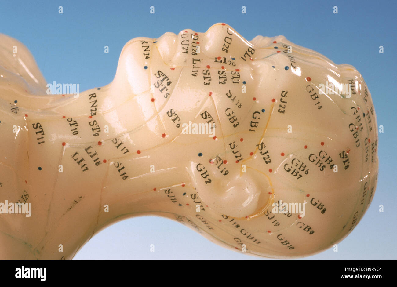 Akupunkturpunkte des menschlichen Körpers abgebildet auf einem Trainings-Modell Stockfoto