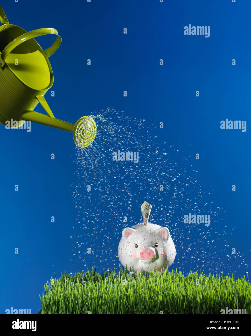 Gießkanne, die Beregnung Wasser auf Sparschwein Gras mit blauem Himmel Stockfoto