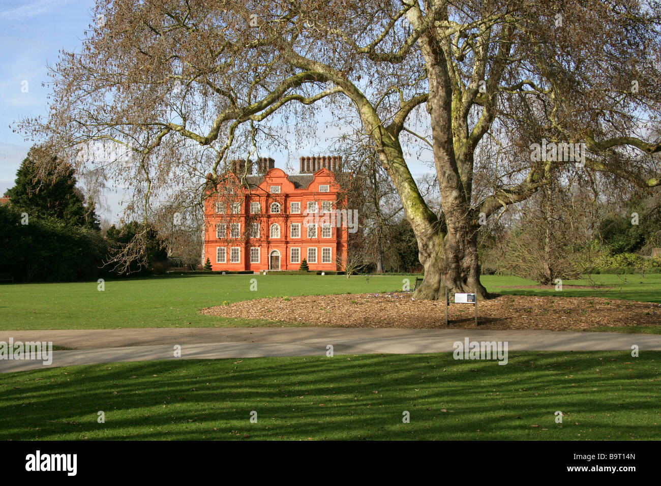 Kew Palace, Kew, London, Richmond, Surrey, TW9 3AB UK. Orientalische Platane Platanus Orientalis Platanaceae Stockfoto