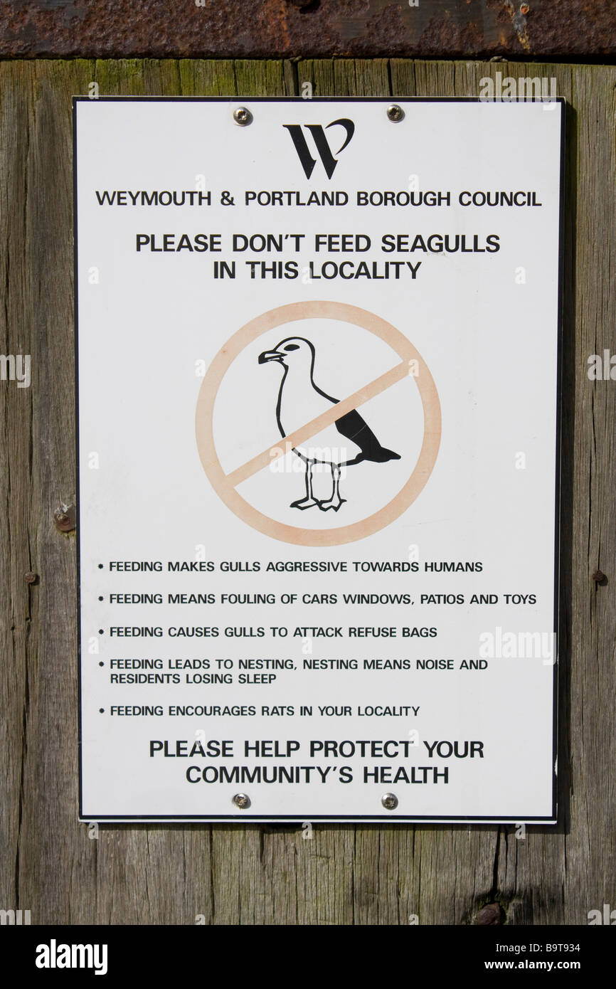 Don't feed Seagul Wegweiser Weymouth Küstenstadt Dorset England uk gb Stockfoto