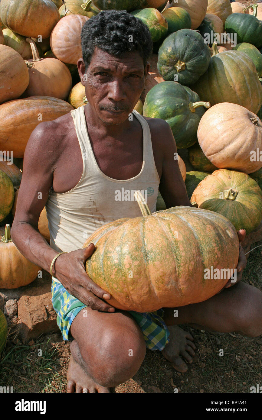 Großer indianer Fotos und Bildmaterial in hoher Auflösung Alamy