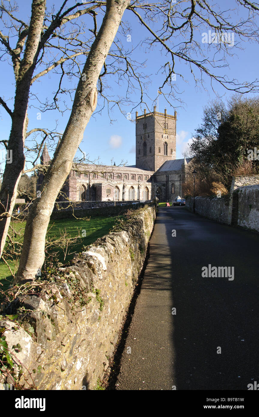 St Davids Cathedral am St Davids Tag Stockfoto