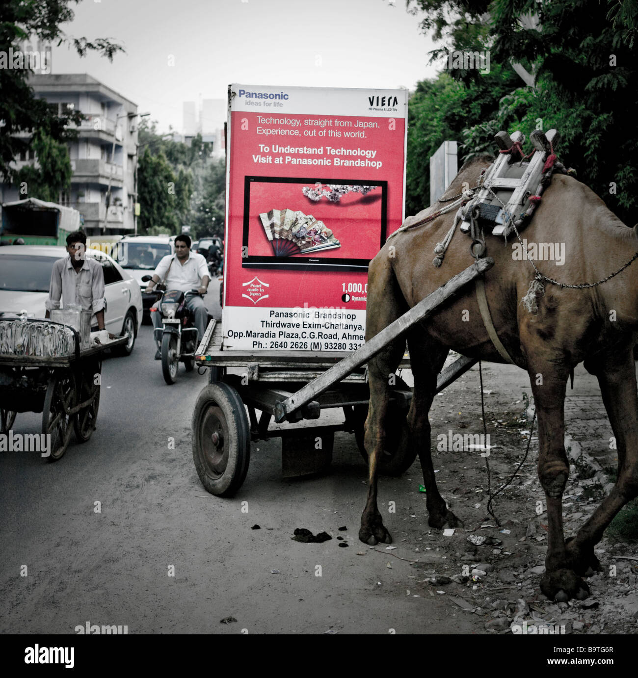 Ein Kamel, ziehen eine Werbetafel für ein Panasonic Viera Flachbildfernseher in Ahmedabad, Indien. Stockfoto
