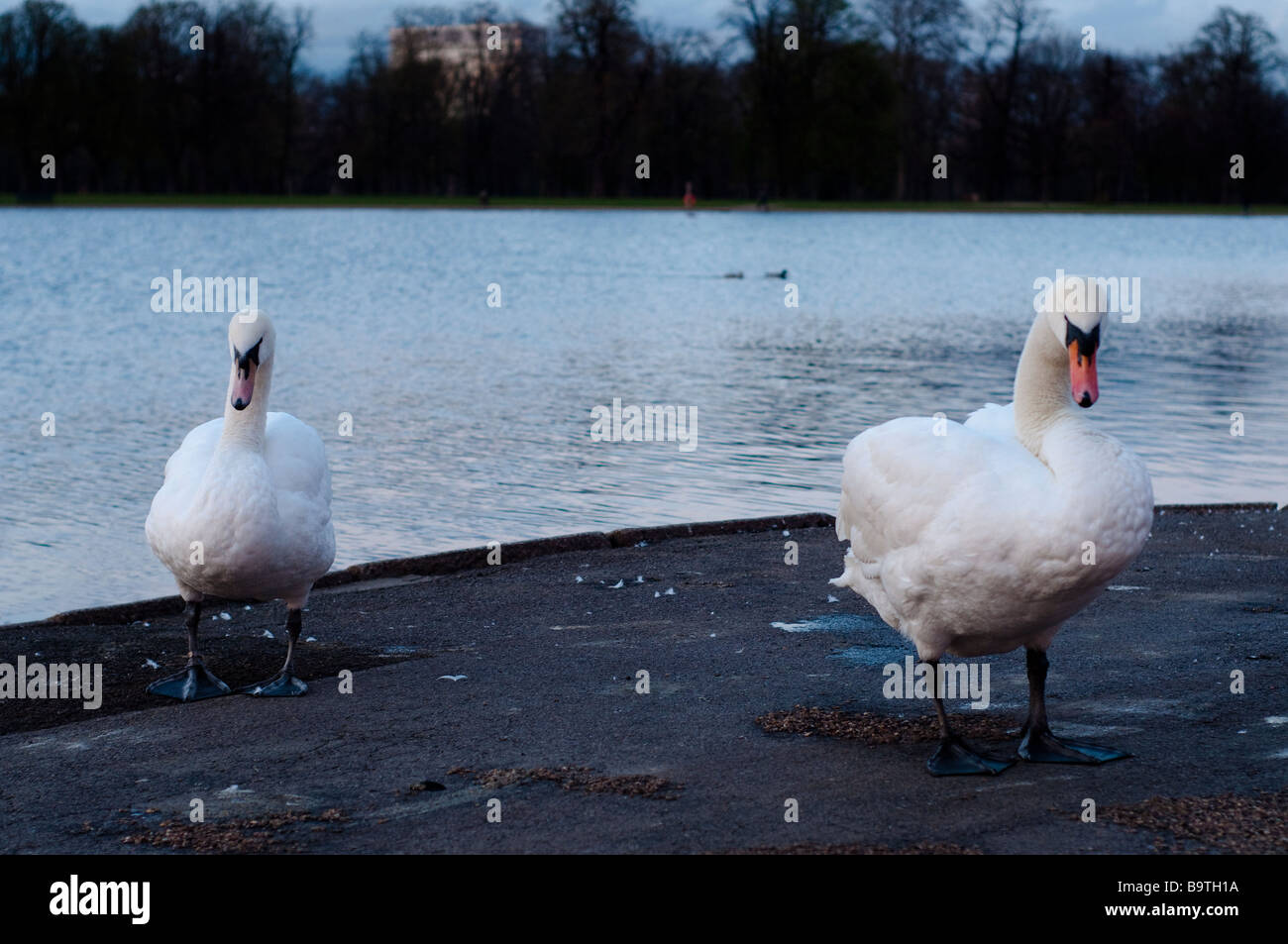Runder teich Fotos und Bildmaterial in hoher Auflösung Alamy