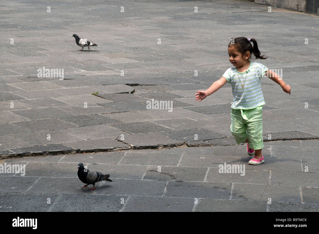 Kleines Mädchen jagt eine Taube an der Kathedrale Guadalupe, Mexiko-Stadt Stockfoto