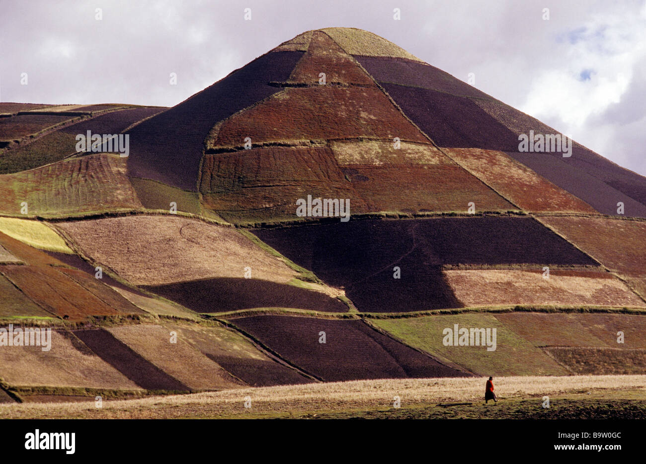 Feldern in der Provinz Cotopaxi-Ecuador-Anden Stockfoto