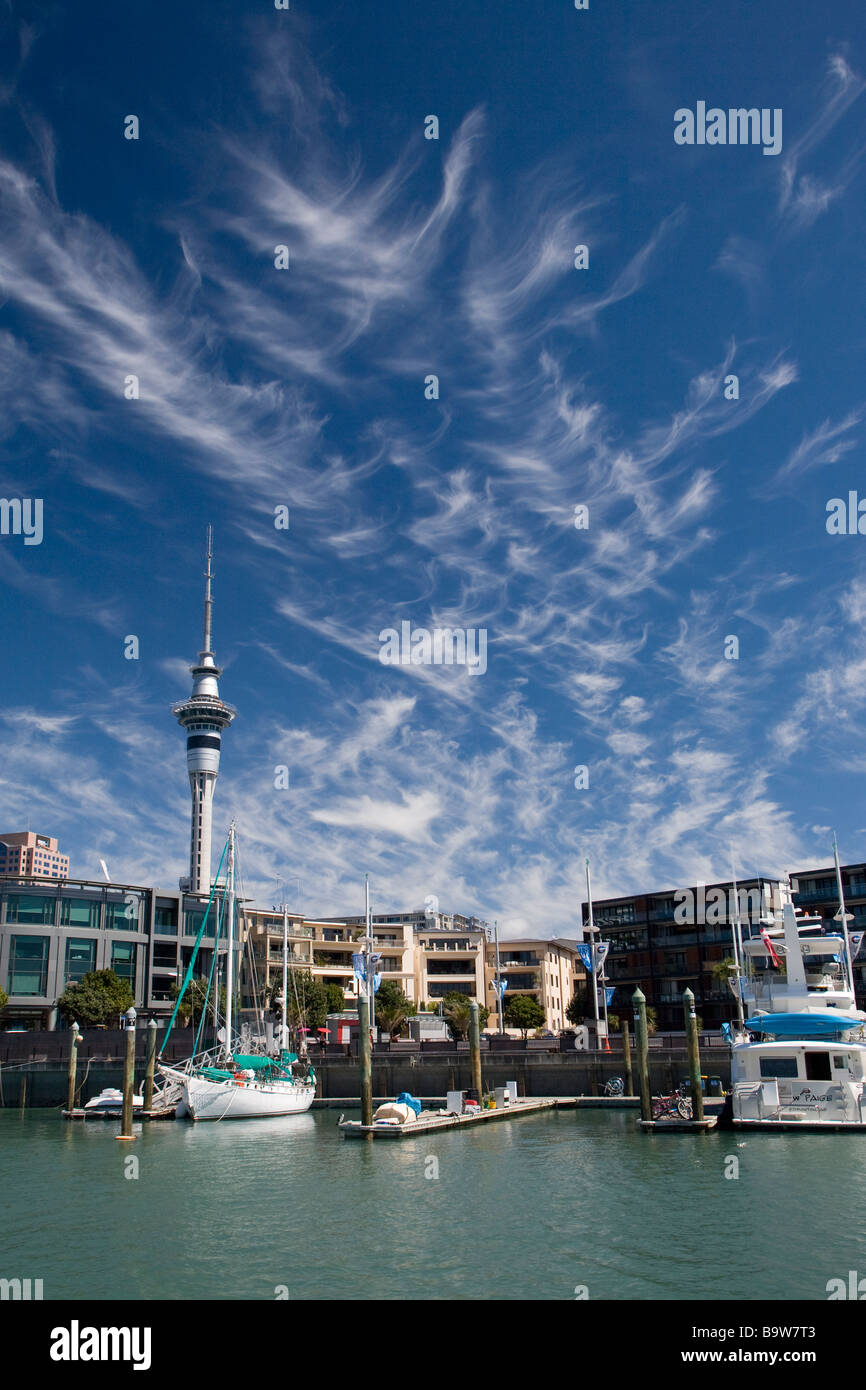 Skyline von Auckland, Neuseeland Stockfoto
