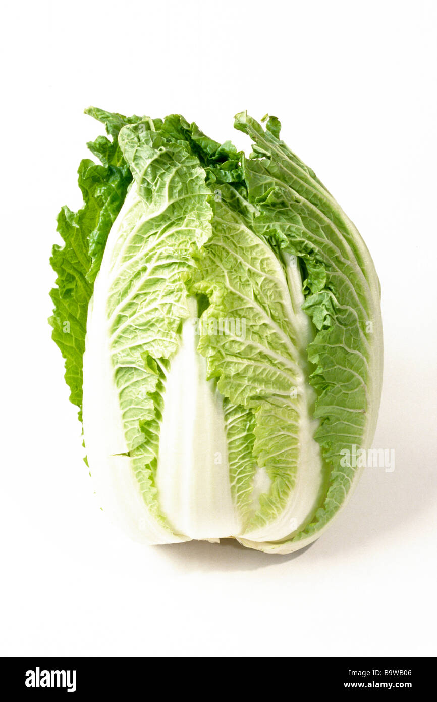 Chinakohl (Brassica Pekinensis, Brassica Rapa Pekinensis), Studio Bild Stockfoto