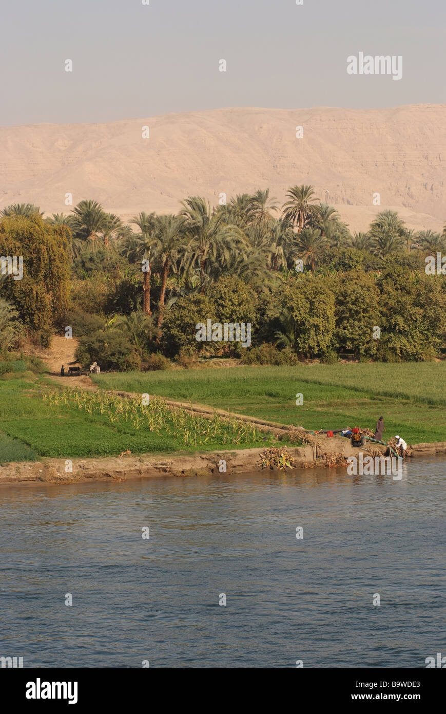 Ägypten-Nil eine Bewässerung System Pumpen Wasser aus dem Nil zu landwirtschaftlichen Flächen Stockfoto