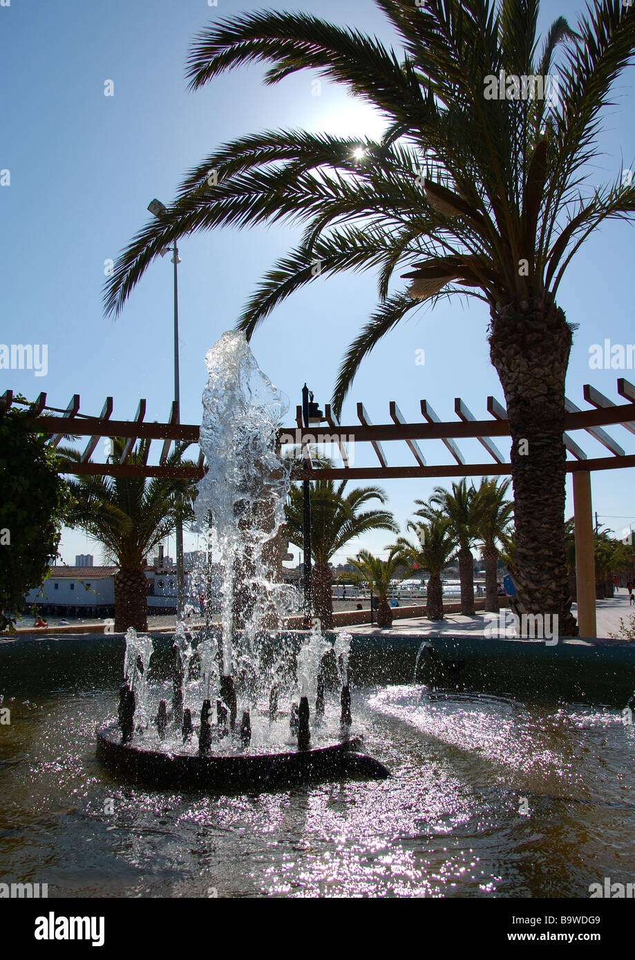 Brunnen und Palm Tree Santigo De La Ribera Spanien Stockfoto