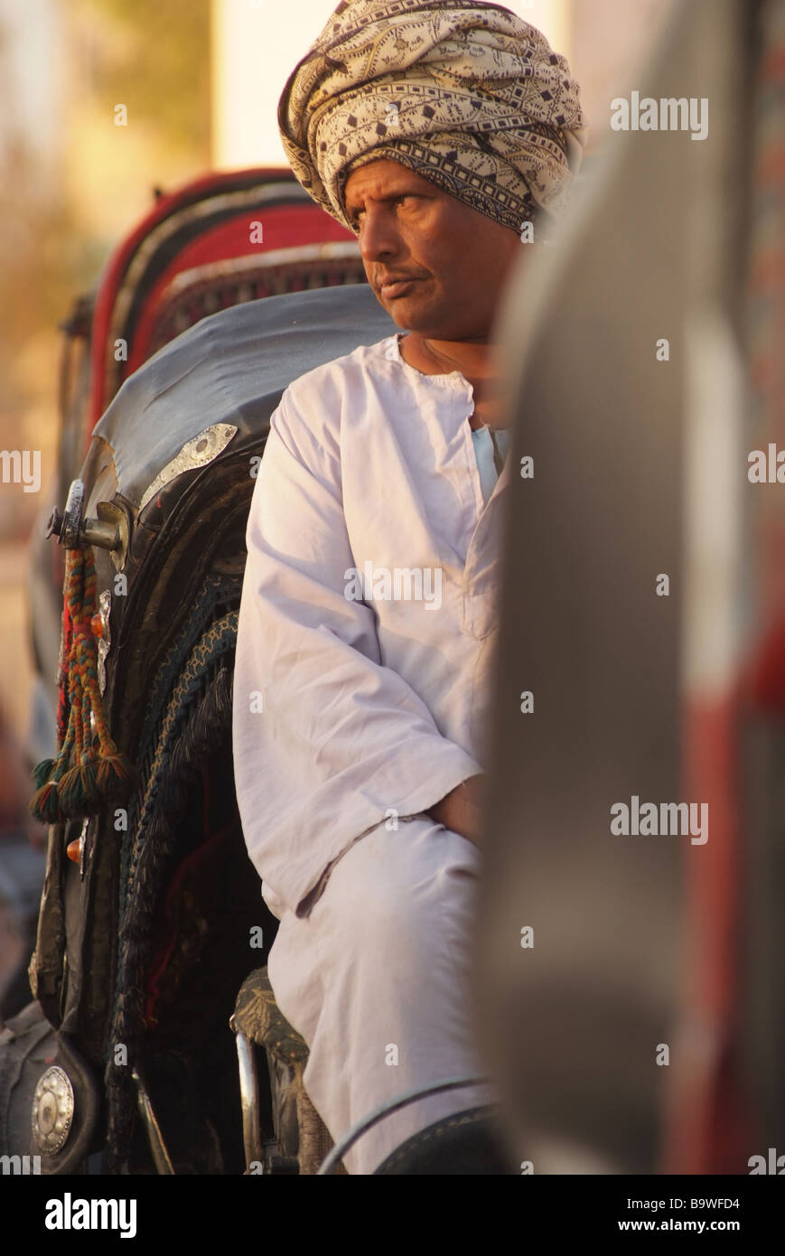 Muslimischer Mann Ägypten in Luxor warten auf Menschen mit dem Pferd nehmen gezogenen Kutsche Stockfoto