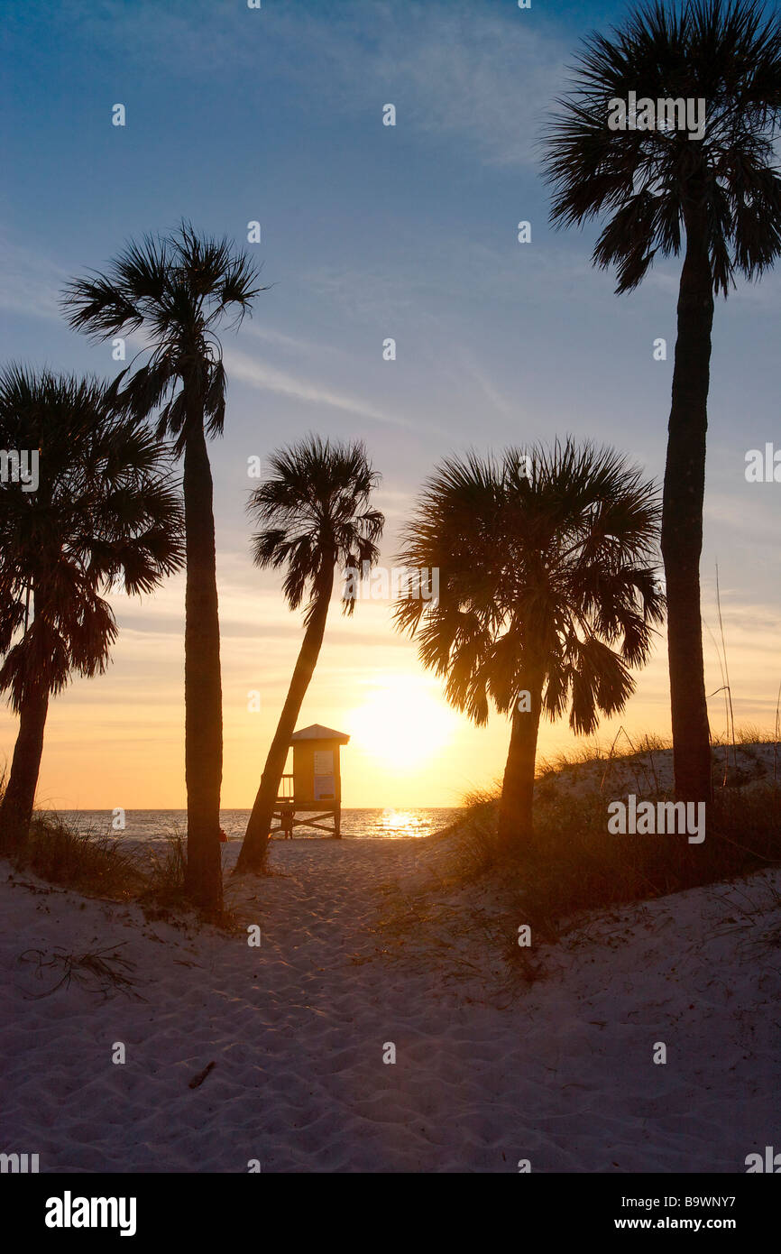 Palmen Sie und eine Strandhütte bei Sonnenuntergang auf einem Strand Clearwater Beach Florida Stockfoto