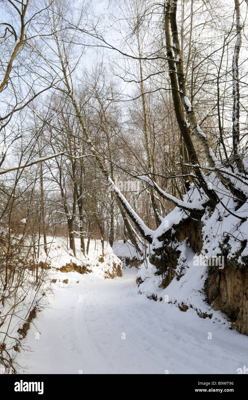 Gully in der Nähe von Topolcza, Roztocze Region, Polen Stockfoto