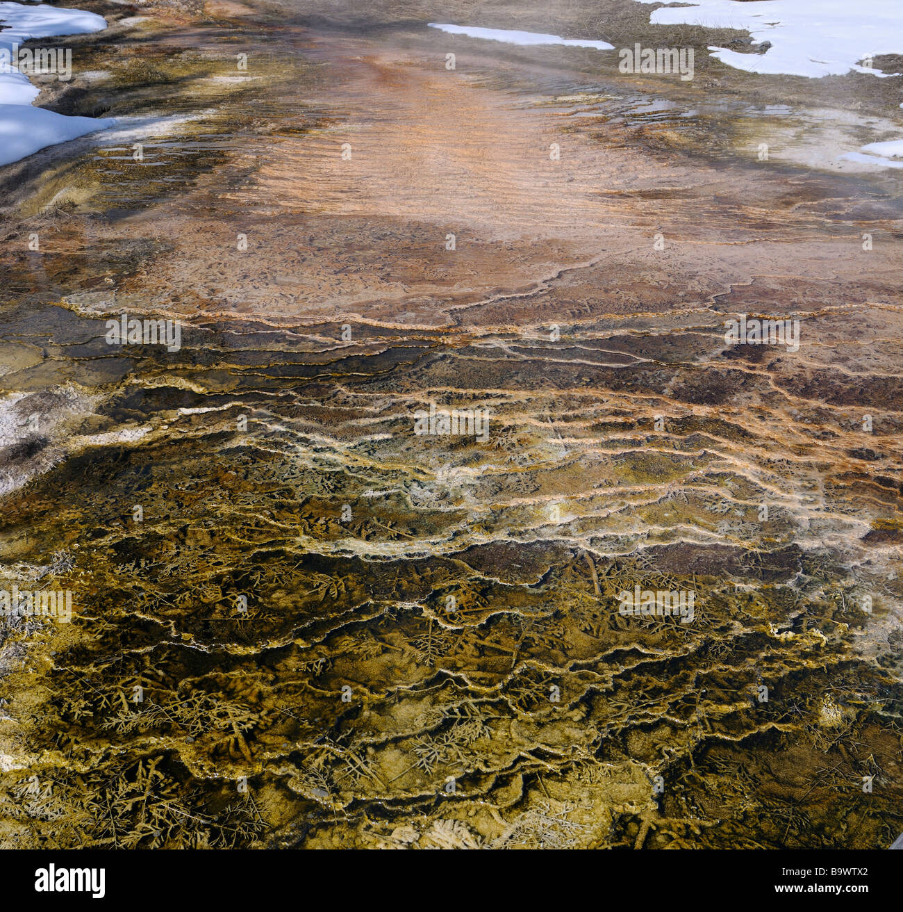 Abstrakte Wellen und Wachstum von Mikroorganismen in einem Pool in der Nähe der Aussichtspunkt bei Mammoth Hot Springs Yellowstone Park im winter Stockfoto