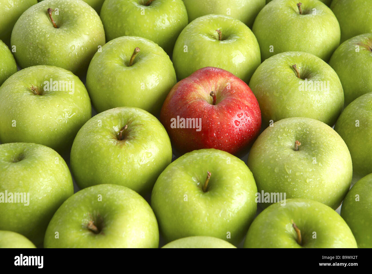 Hintergrund von grünen Äpfeln mit einem roten Apfel Stockfoto