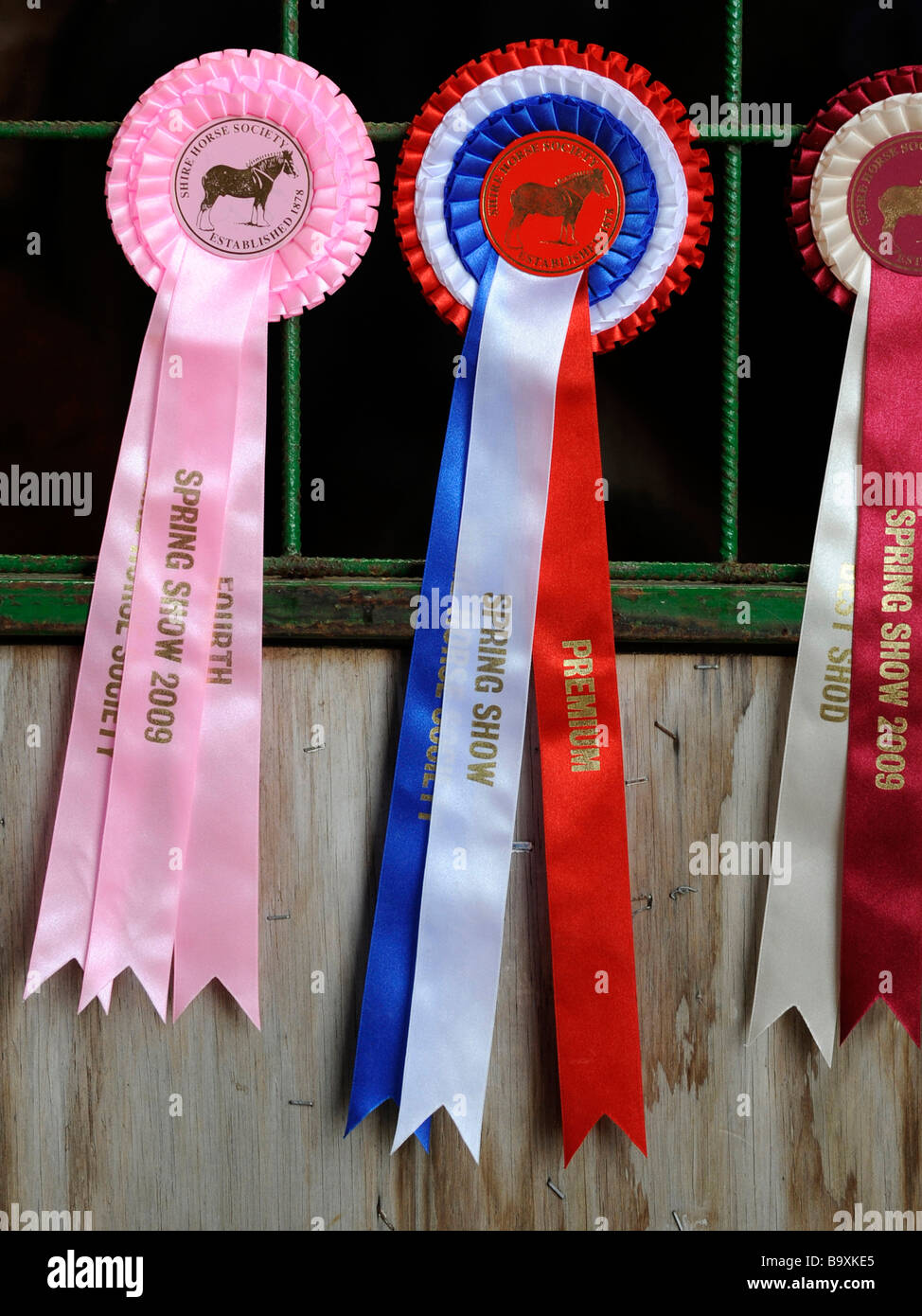 Pferd-Rosette aus der Feder Shire Horse Show 2009 zu gewinnen. Stockfoto
