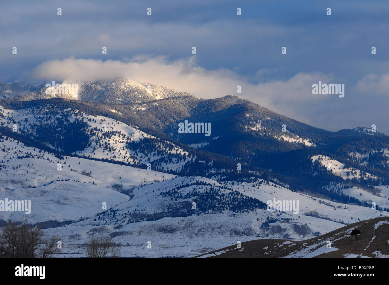 Grab Berg bei Sonnenaufgang in der Nähe von Mammoth Hot Springs im Winter Yellowstone National Park, Wyoming, USA Stockfoto