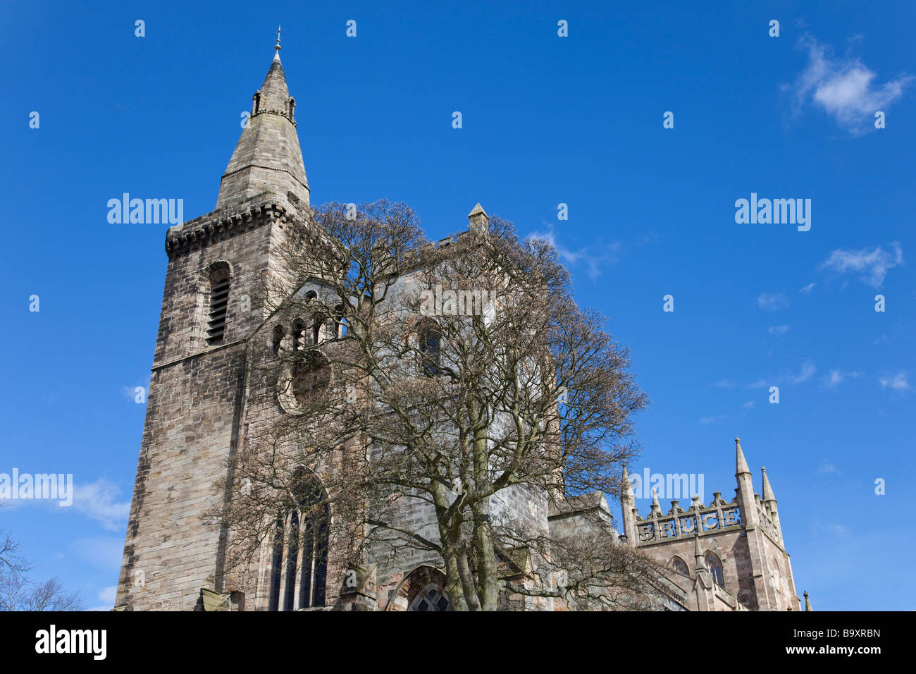 Dunfermline Abtei Kirche Stockfoto