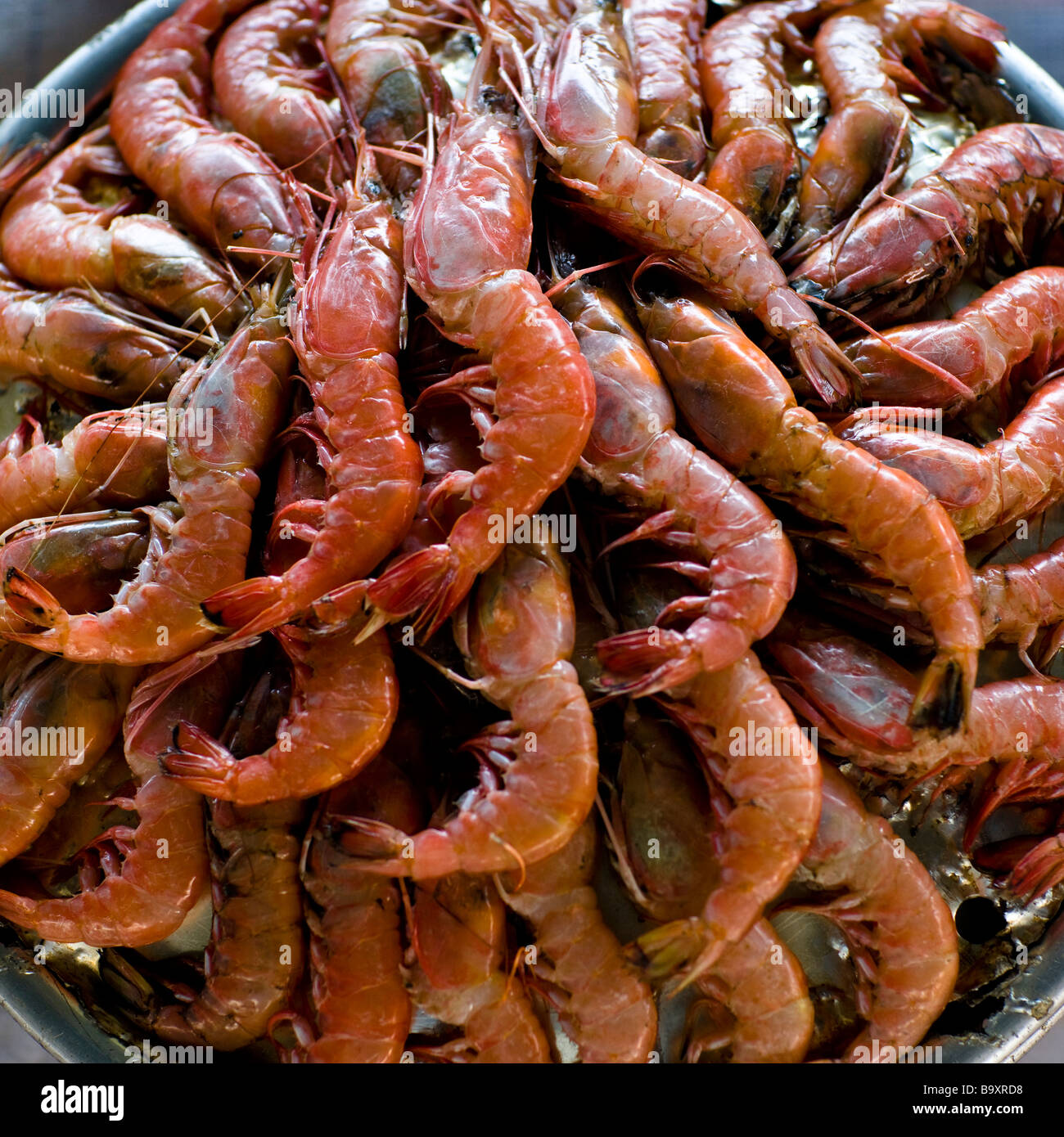 Frische Meeresfrüchte Garnelen aus dem Meer auf einem Marktplatz Stockfoto