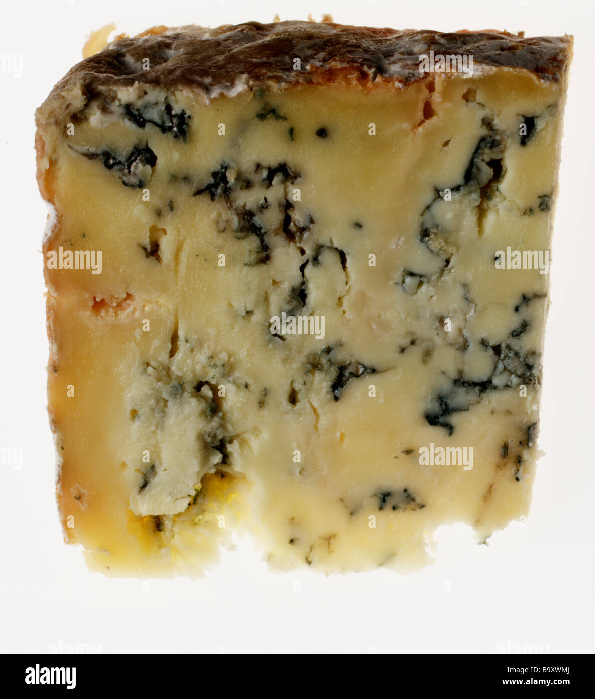 Stilton Keil Stockfoto