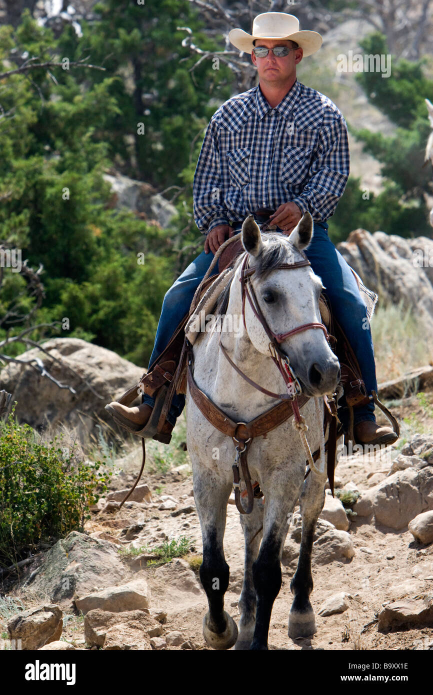 Cowboy-Hut führt Wrangler Cedar Mountain Trail Rides Cody Wyoming USA Stockfoto