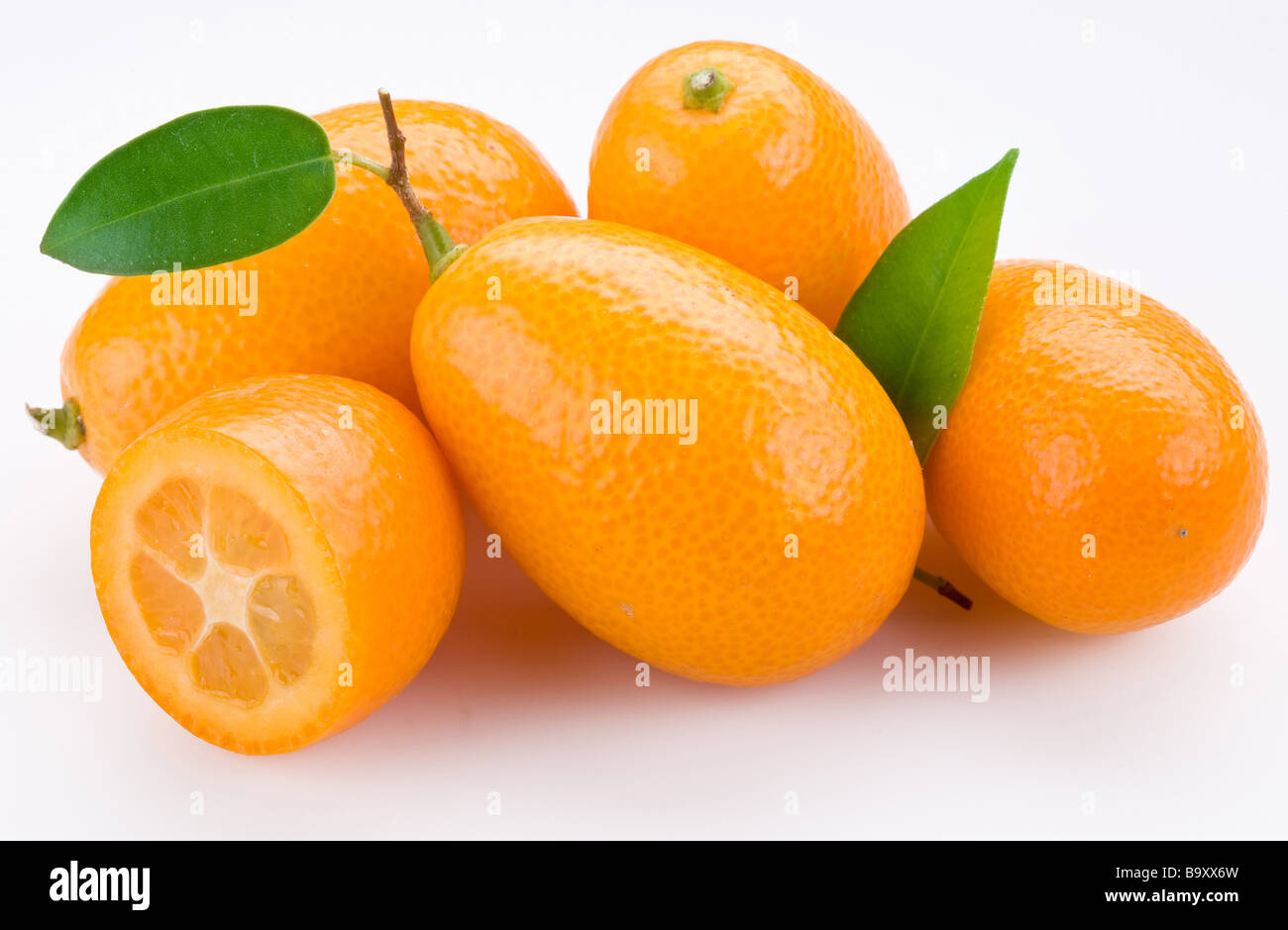 Kumquat Stockfoto