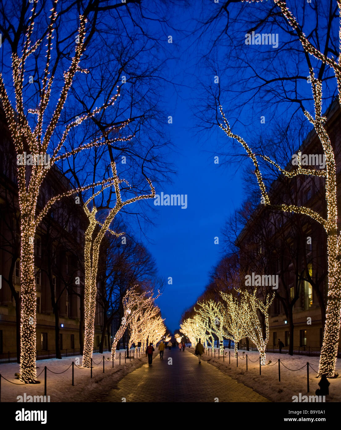Weihnachtsbeleuchtung Auf Bäumen Stockfotos Und -Bilder Kaufen - Alamy