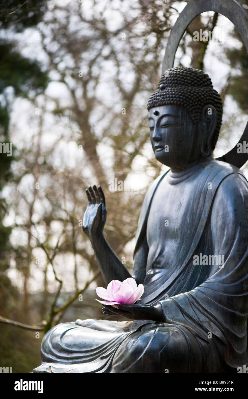 Magnolie Blume in der Hand einer Buddha-Statue zündeten Arboretum. Gloucestershire, England Stockfoto