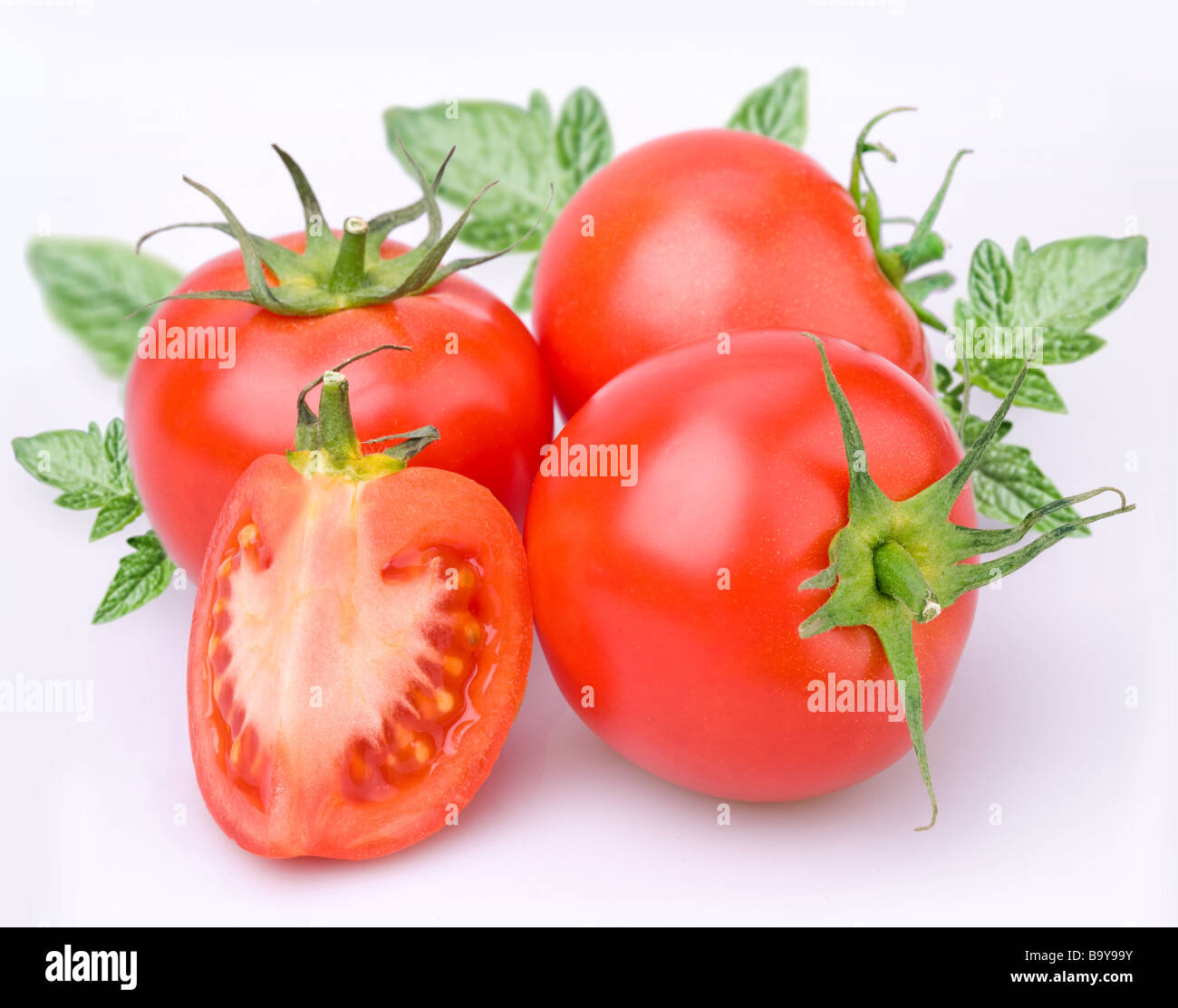 Tomaten-Objekt auf einem weißen Hintergrund Stockfoto