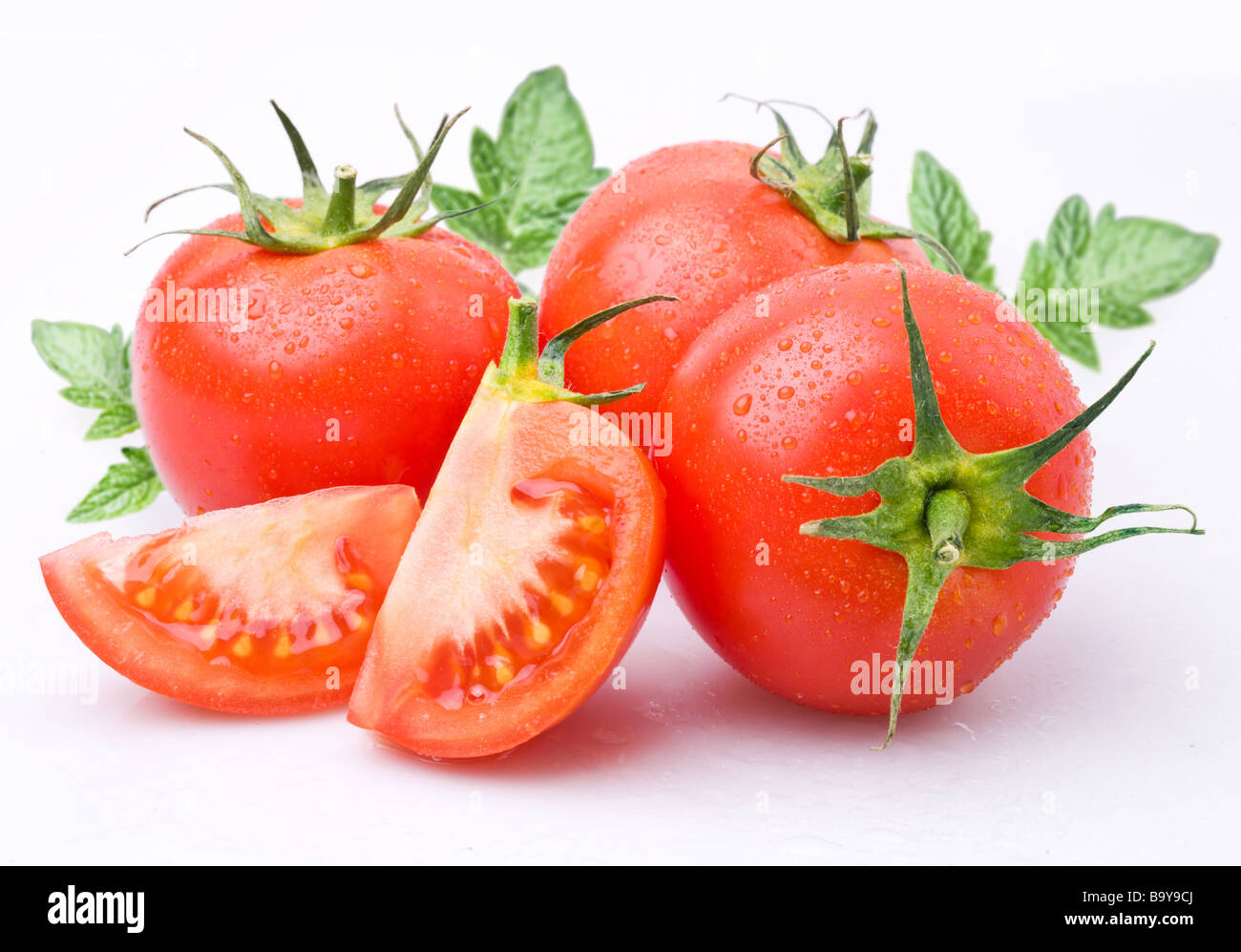 Tomaten-Objekt auf einem weißen Hintergrund Stockfoto