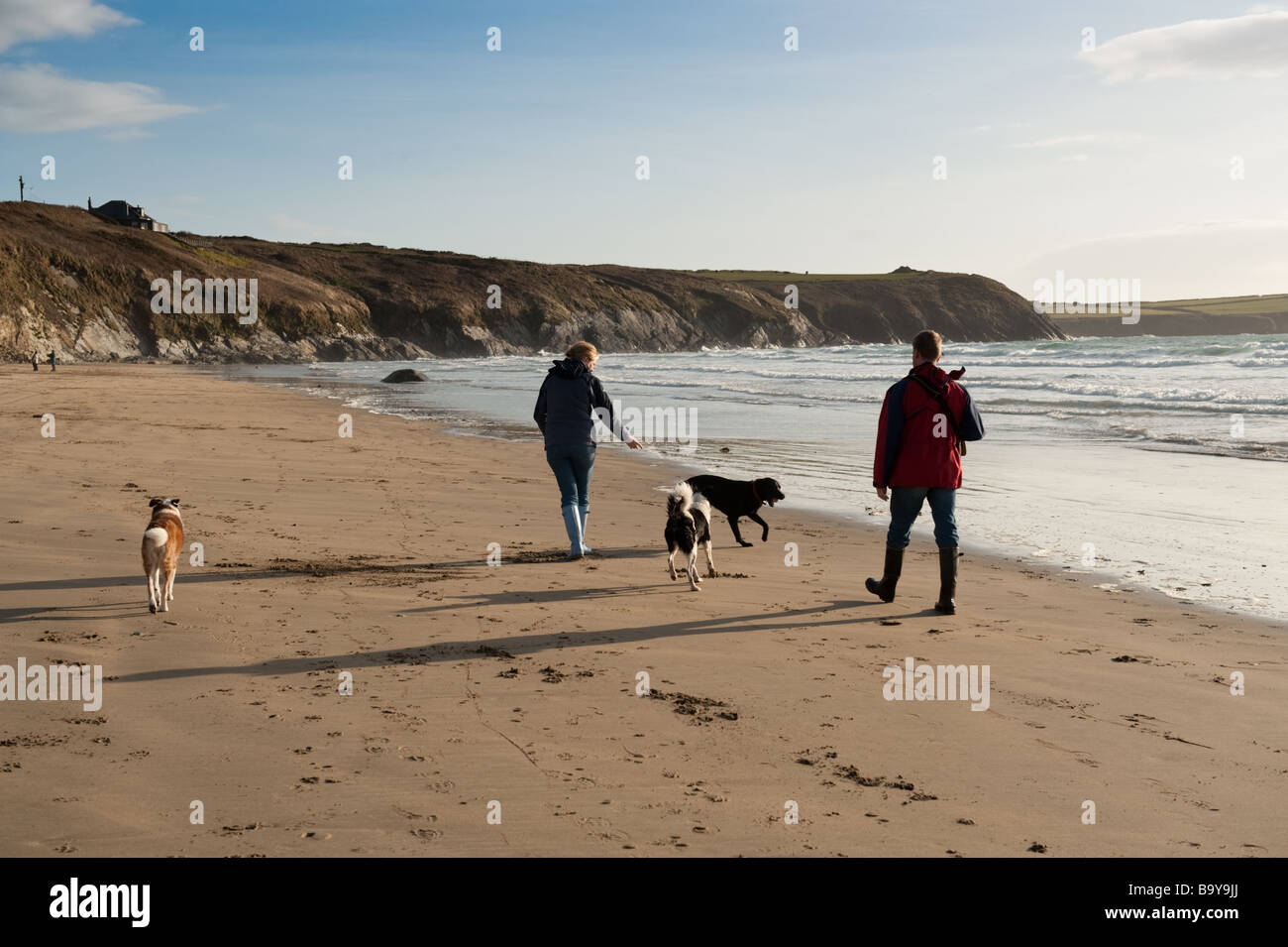 zwei Menschen, die ihre Hunde Whitesands Bay Porth Mawr in der Nähe von St Davids Pembrokeshire Coast National Park West Wales UK Frühling Stockfoto